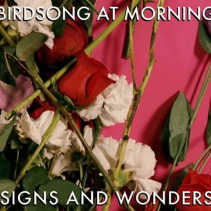 Birdsong At Morning - Signs and Wonders Cover