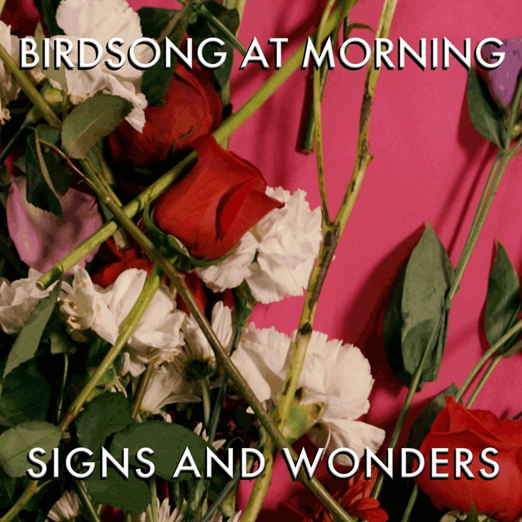 Birdsong At Mornign Signs and Wonders IAA