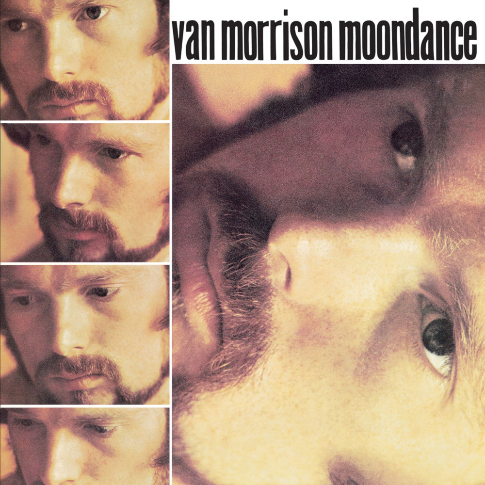 Van Morrison Dolby Atmos 5.1 Blu-Ray Steven Wilson Elliot Scheiner